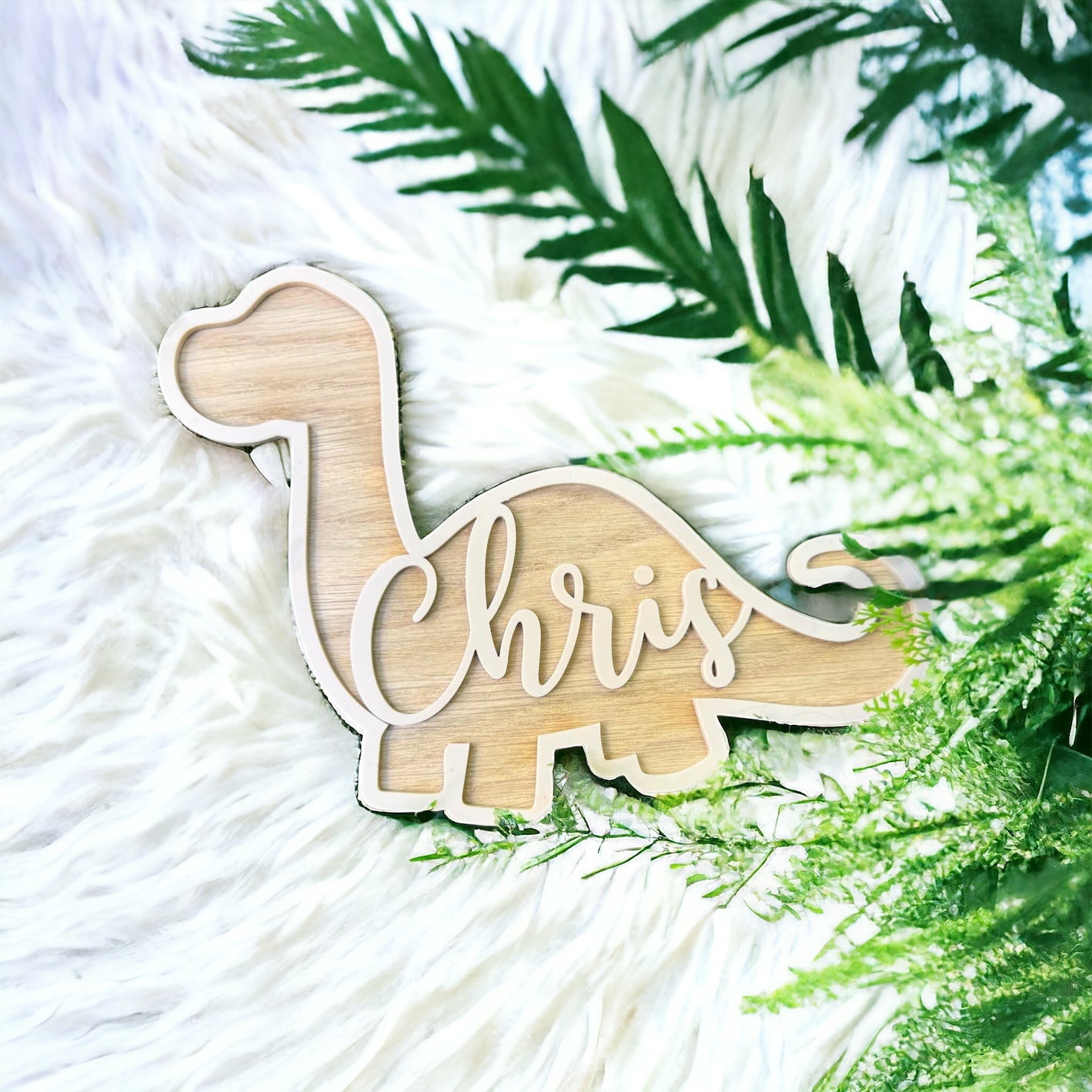Personalised Acrylic Name Signs
