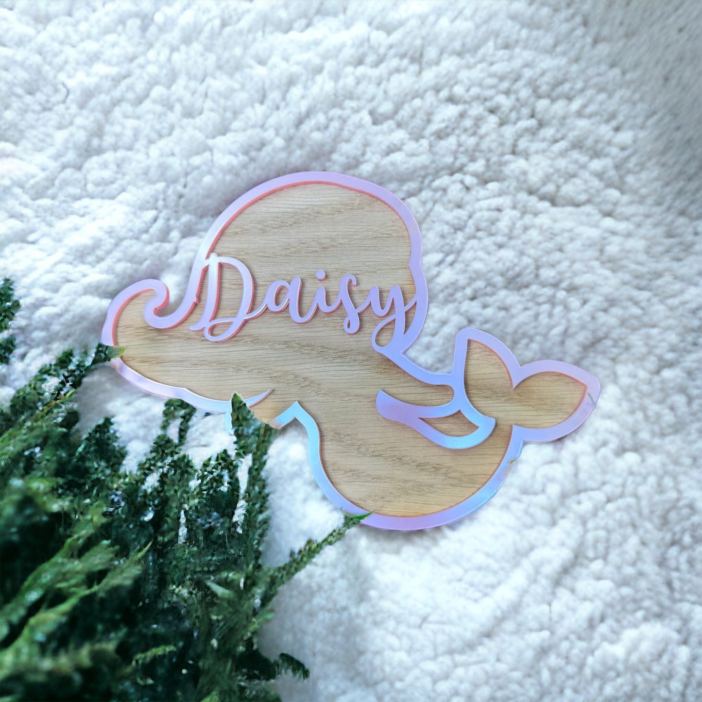 Personalised Acrylic Name Signs