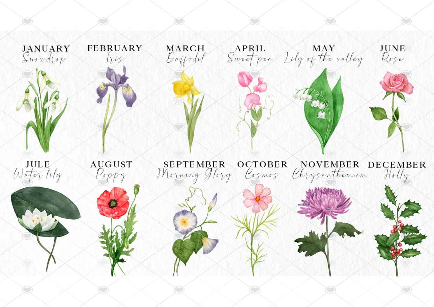 Personalised Birth Flower Illustration